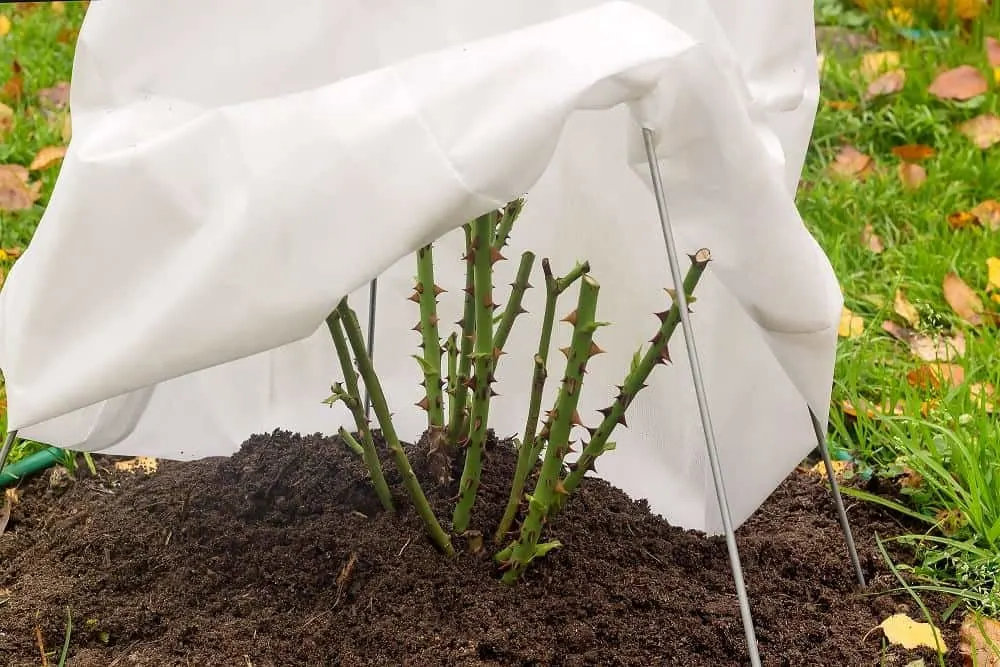jardinier paysagiste à Paris - préparer son jardin pour l'hiver
