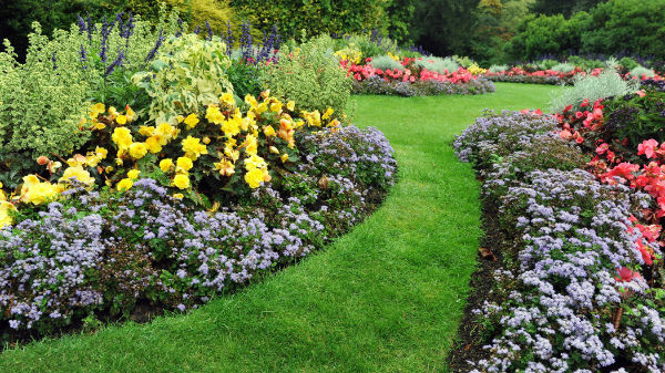 création de jardins à Paris par Jardeco Paris