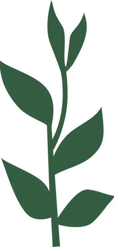 jardinier paysagiste à Paris - croissance plante Jardeco. Jardinage créatif